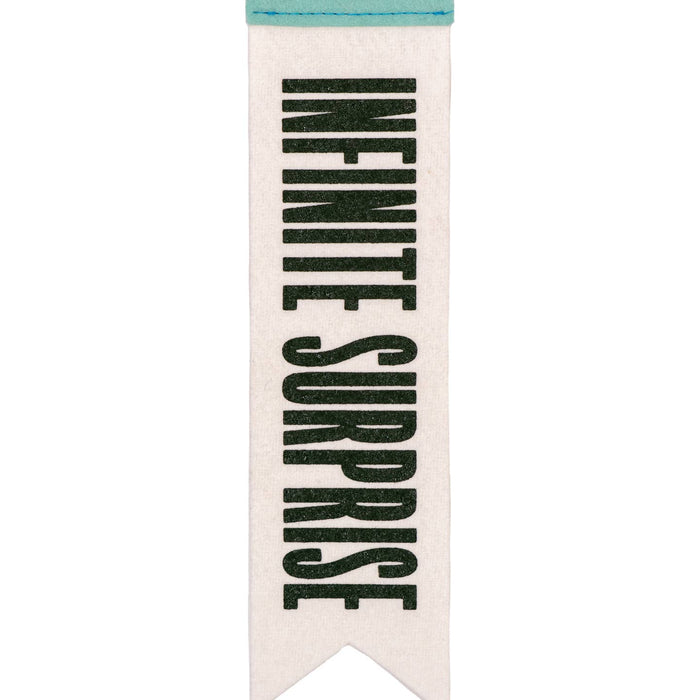 Infinite Surprise Felt Bookmark • Wilco x Oxford Pennant