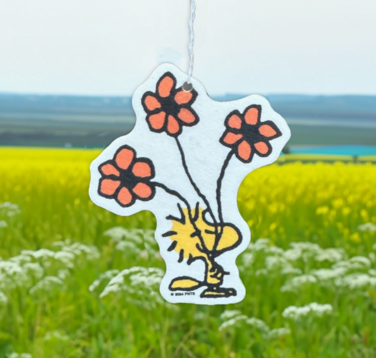 Snoopy Air Fresheners - Many Styles/Scents To Choose From