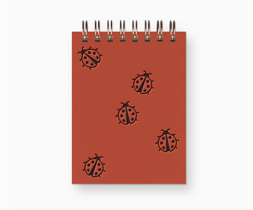 Mini Jotter Notebooks - Various Styles