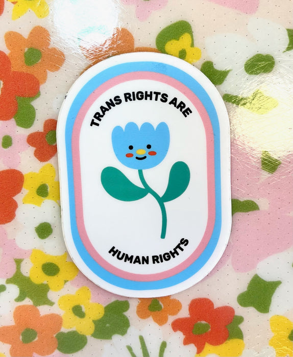 Trans-Rights Sticker