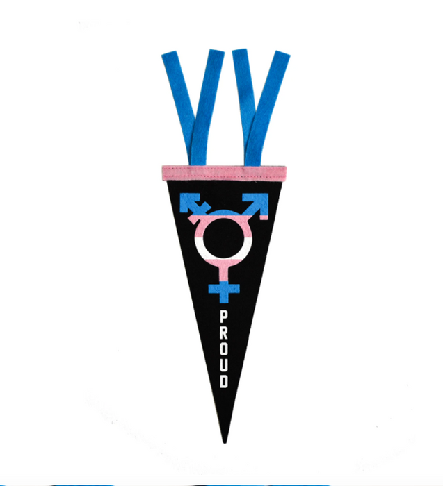 Trans Proud Mini Pennant